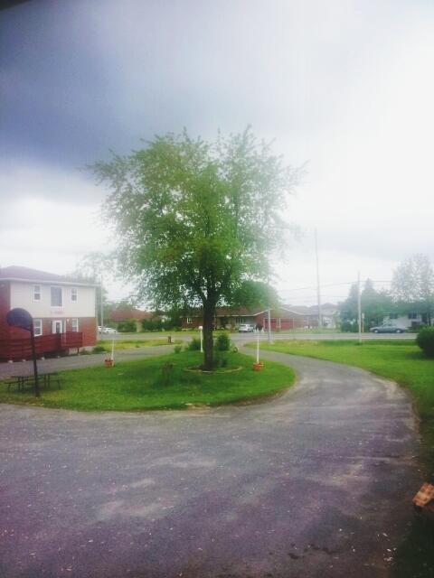 Welcome Traveller Motel Kingston Dış mekan fotoğraf